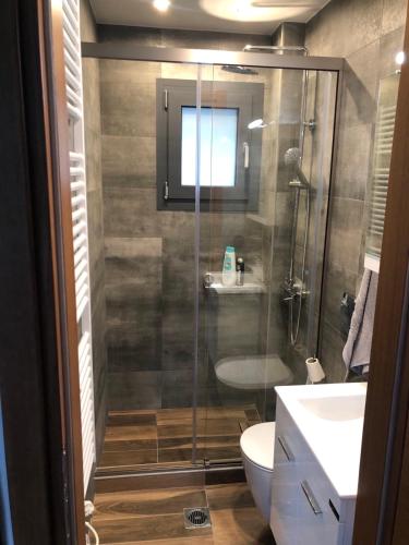 a bathroom with a shower and a toilet and a sink at Luxury Villa Plaka Litochorou with Pool in Plaka Litochorou