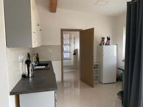 a kitchen with a counter and a refrigerator at Penzion Lednice in Lednice