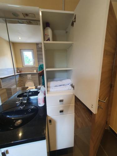 a bathroom with a sink and a counter top at Right choice room in Antwerp