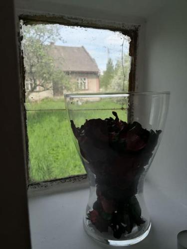 a vase with a flower in front of a window at Red Bed in Jankowice