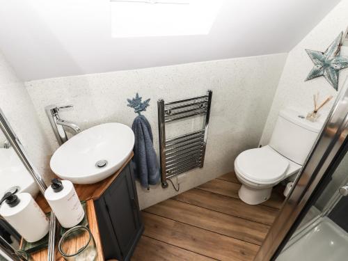 a bathroom with a sink and a toilet at Silver Birch Lodge in Bawtry