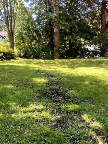 Pauls Cottage Rental – Photos 5