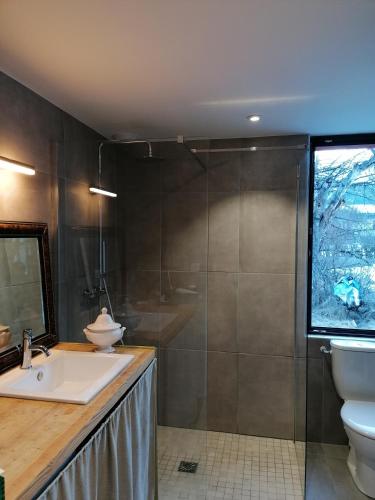une salle de bain avec un lavabo, des toilettes et une douche dans l'établissement Maison dans parc clôturé, à Barcelonnette