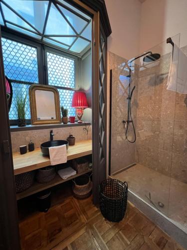 uma casa de banho com um chuveiro, um lavatório e um espelho. em Luxueux 2 pièces 65m2 Hôtel Particulier XVII ième siècle-Centre Historique Clermont-Ferrand em Clermont-Ferrand