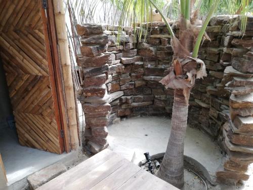 Mundomo Lodge – Photos 2