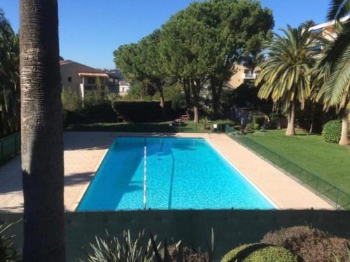 a swimming pool in a yard with a palm tree at Appartement en résidence avec piscine in Nice