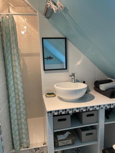 a bathroom with a sink and a shower at La maison du bonheur avec clim reversible in Larçay