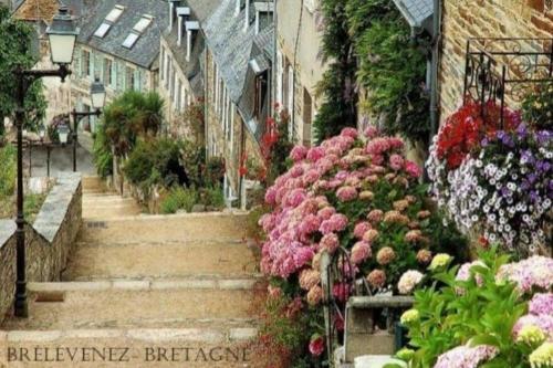 Κήπος έξω από το Maison du martin pêcheur à Lannion