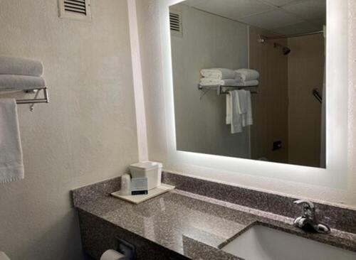 A bathroom at Quality Inn & Conference Center