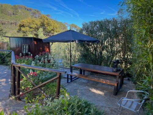 uma mesa de piquenique e um guarda-sol num jardim em casa vacanze la palma em Marina di Campo