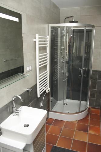 La salle de bains est pourvue d'une douche et d'un lavabo blanc. dans l'établissement Repos chez Margot, à Fajoles
