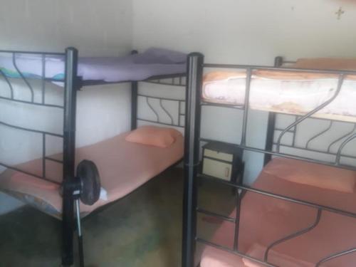 a group of three bunk beds in a room at Posada la tranquilidad in Villavieja