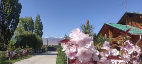 a garden with pink flowers in front of a house at Квартира в Радуга WEST in Koshkolʼ
