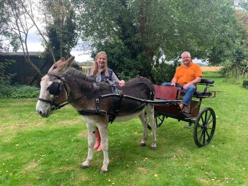 a man and a woman riding in a donkey drawn carriage at Starry Meadow & Rescued Animal Experiences in Great Yarmouth