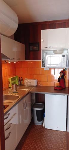 a kitchen with a sink and a microwave at Appartement St Lary Soulan pied des pistes (le Pla d’Adet) 5 personnes in Saint-Lary-Soulan