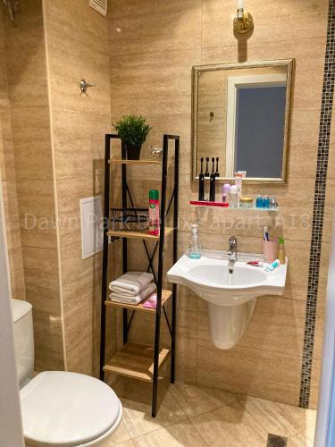 Ένα μπάνιο στο DPark Apartament