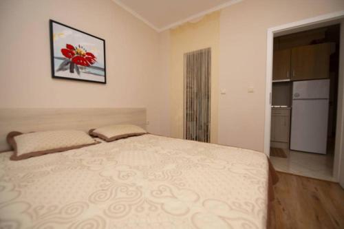 Ένα ή περισσότερα κρεβάτια σε δωμάτιο στο DPark Apartament