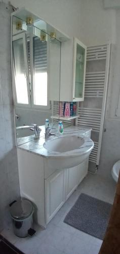 baño con lavabo blanco grande y espejo en locazione mimosa con giardino, en Ostellato