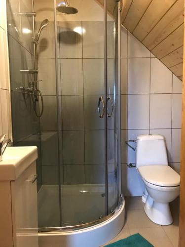 a bathroom with a shower and a toilet at MAZUR 35 in Szyldak