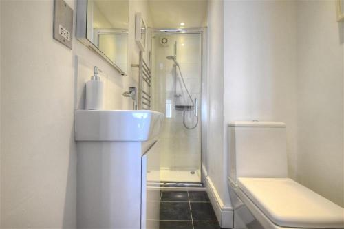 a bathroom with a sink and a toilet and a shower at Seahorse in Lyme Regis
