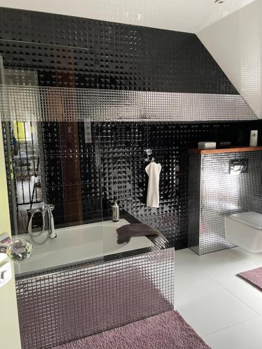 Kuchyň nebo kuchyňský kout v ubytování Apartament Hanuszówka