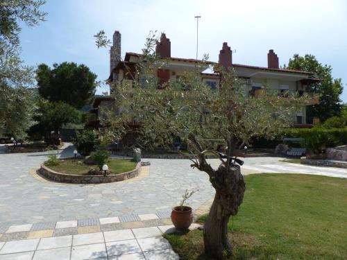 a tree in a courtyard in front of a building at Makis Nest Apart-Hotel in Vourvourou