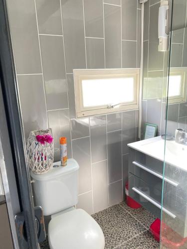 a bathroom with a toilet and a sink at Les algues de La Chapelle Bleu horizon in Anse-Bertrand