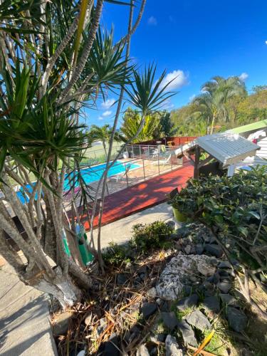 a resort with a pool and a palm tree at Les algues de La Chapelle Bleu horizon in Anse-Bertrand