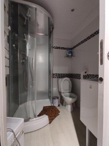 un baño con ducha y WC en Agréable T2 au centre de Luchon, en Luchon