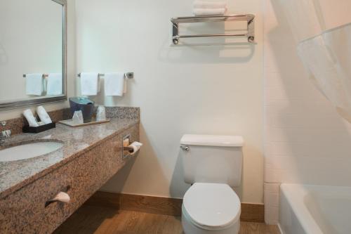 uma casa de banho com um WC, um lavatório e uma banheira em Hotel Mira Vista em El Cerrito