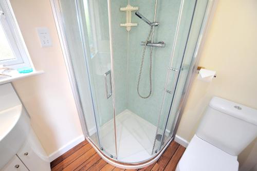 a glass shower in a bathroom with a toilet at Undercliff in Lyme Regis