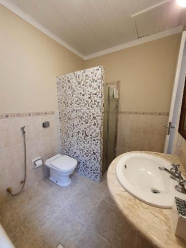 a bathroom with a toilet and a sink and a shower at Casa Villa Constanza in Itaipava