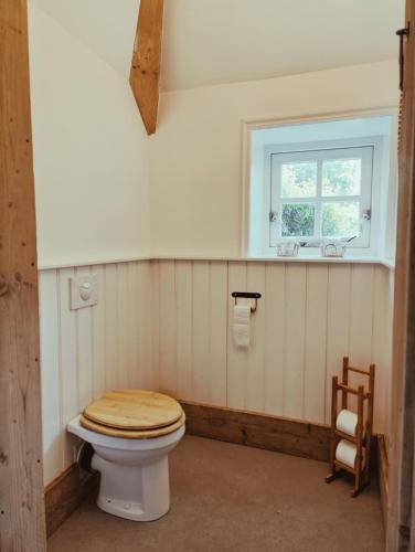 a bathroom with a toilet and a window at B&B Wijdzicht in Wolsum
