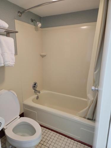 a bathroom with a white toilet and a bath tub at Downtown Inn in Asheville