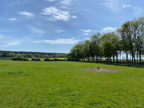 un gran campo de césped con un parque con árboles en Southfields Bell Tent. en Egmanton