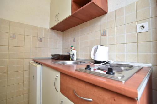 eine Küche mit einer Spüle und einer Arbeitsplatte in der Unterkunft Villa Andrea in Budva