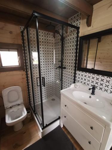 a bathroom with a shower and a toilet and a sink at Przystań Piława in Borne Sulinowo
