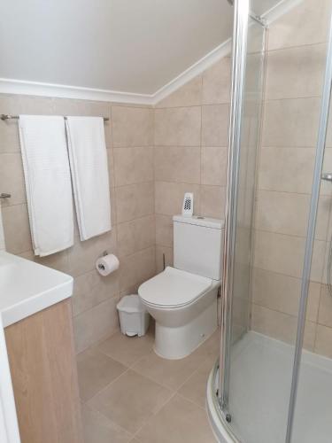 a bathroom with a toilet and a shower at Baleal Atlantic View House in Baleal