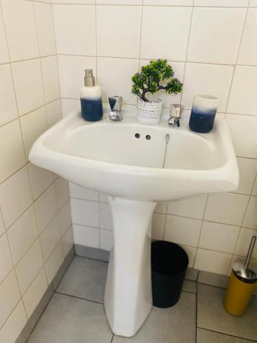a white sink in a bathroom with a plant at Lancy Apartments in Gaborone