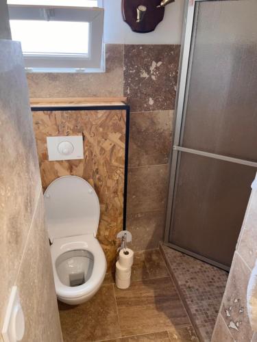 a small bathroom with a toilet and a shower at Castagnu in Santo-Pietro-di-Tenda