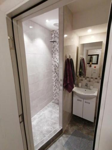 a bathroom with a shower and a sink at VEMIUR in Čačak