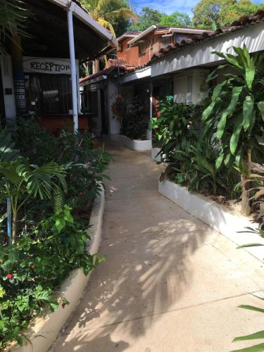a sidewalk in front of a building with plants at Pura Vida Hostel in Tamarindo
