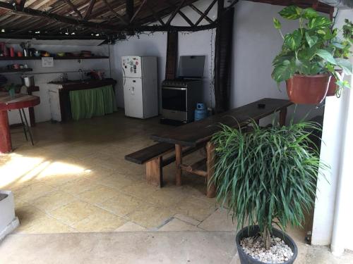 Imagem da galeria de Pura Vida Hostel em Tamarindo