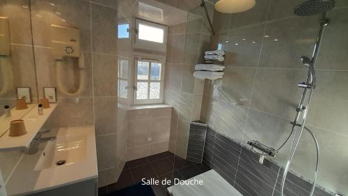 a bathroom with a shower and a sink at B&B Manoir de la Fabrègues in Estaing