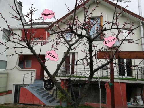 a tree with hearts on it in front of a house at Chalet de Paris in Fontenay-sous-Bois