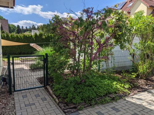 una puerta en un jardín con flores púrpuras en Ferienhaus Lindelburg en Schwarzenbruck