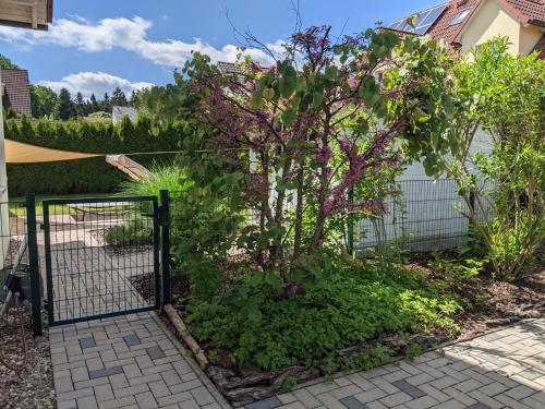a gate in a garden with purple flowers at Ferienhaus Lindelburg in Schwarzenbruck
