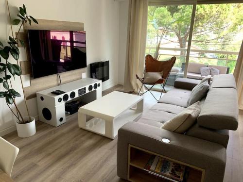 uma sala de estar com um sofá e uma televisão em Cosy Flat Cannes em Le Cannet