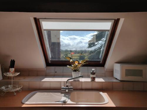 a kitchen sink with a window above a kitchen counter at The Coach House in Bridgwater