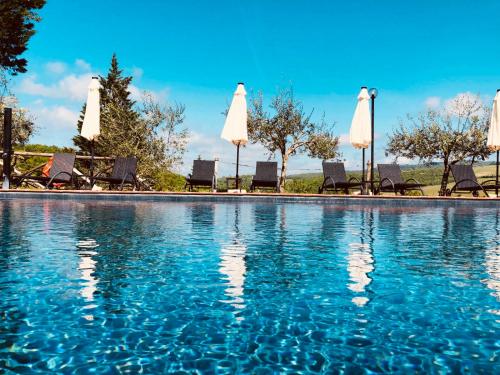 a swimming pool with chairs and white umbrellas at Agriturismo Borgo Il Bonagino in Radda in Chianti